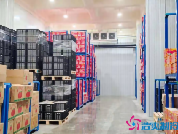 0~5℃果蔬冷藏庫建造 0~5℃果蔬冷藏庫建造