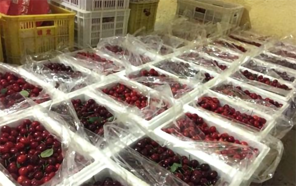 2~8℃櫻桃冷藏庫 2~8℃櫻桃冷藏庫