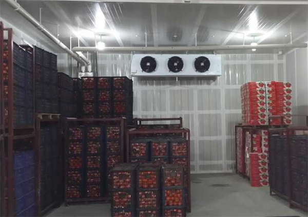 2~8℃櫻桃冷藏庫 2~8℃櫻桃冷藏庫