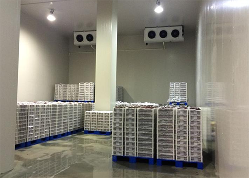 建造安裝1000㎡冷庫造價大概需要多少費用?_浩爽制冷 建造安裝1000㎡冷庫造價大概需要多少費用?_浩爽制冷