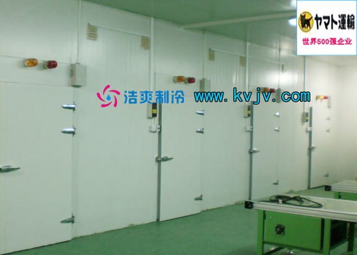 雅瑪多(中國)大型物流冷庫設計建造工程案例