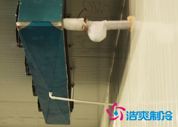 鮮花冷庫建造設計方案及鮮花存儲方法_浩爽制冷 鮮花冷庫建造設計方案及鮮花存儲方法_浩爽制冷