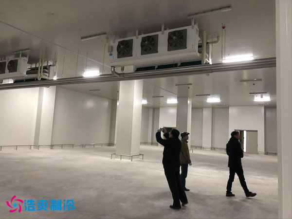 建造一間鳳梨保鮮冷庫費用需要多少錢？_浩爽制冷