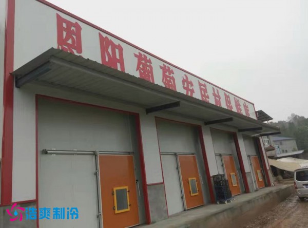 巴中葡萄種植合作社氣調保鮮冷庫建造 巴中葡萄種植合作社氣調保鮮冷庫建造