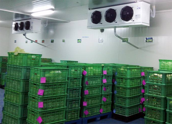 建一個垃圾冷庫要多少錢?_浩爽制冷 建一個垃圾冷庫要多少錢?_浩爽制冷