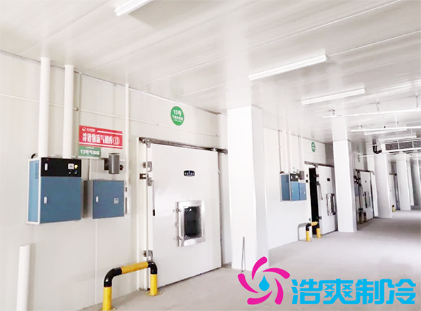 建造600m3農產品冷藏保鮮庫多少錢?如何計算冷庫制冷量_浩爽制冷 建造600m3農產品冷藏保鮮庫多少錢?如何計算冷庫制冷量_浩爽制冷