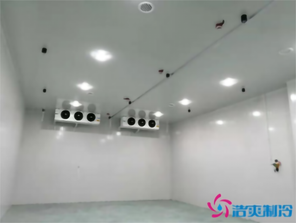 水果冷庫保鮮溫度是多少_水果冷庫造價(jià)多少錢一立方_浩爽制冷 水果冷庫保鮮溫度是多少_水果冷庫造價(jià)多少錢一立方_浩爽制冷