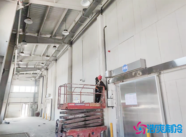 豬肉凍庫建造價格多少錢一個平方？-浩爽制冷