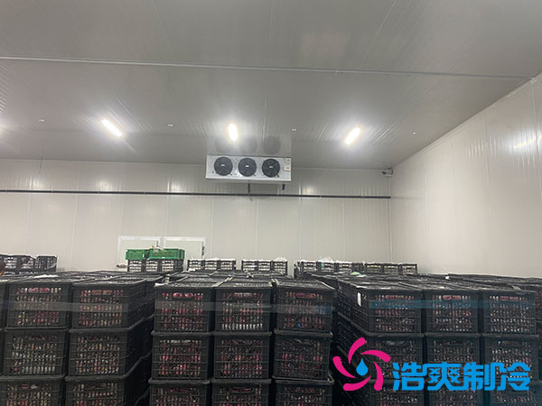 水果冷庫造價多少錢 水果冷庫造價多少錢