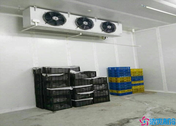 寧夏氣調冷庫如何建造?.jpg