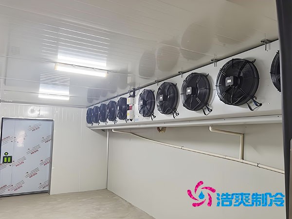 建造500平方米梨子保鮮冷庫的費(fèi)用是多少?-浩爽制冷