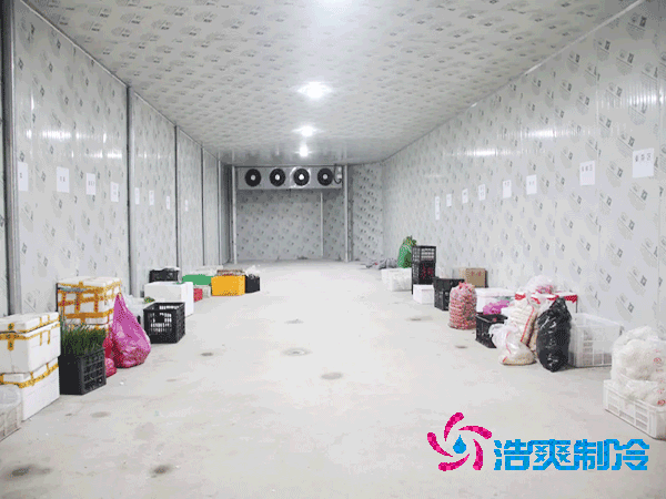 建造一個(gè)200平方米的恒溫冷庫需要多少資金？