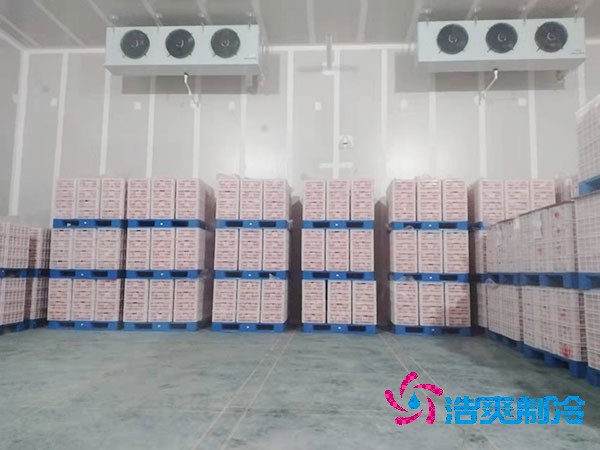 氣調冷庫建設造價