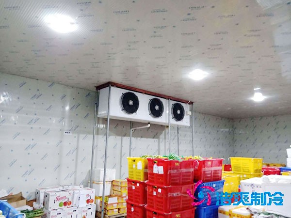 建設(shè)一個占地3000平方米的食品恒溫庫