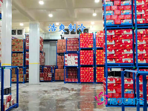 保鮮冷庫造價(jià)概覽,果蔬保鮮庫費(fèi)用解析