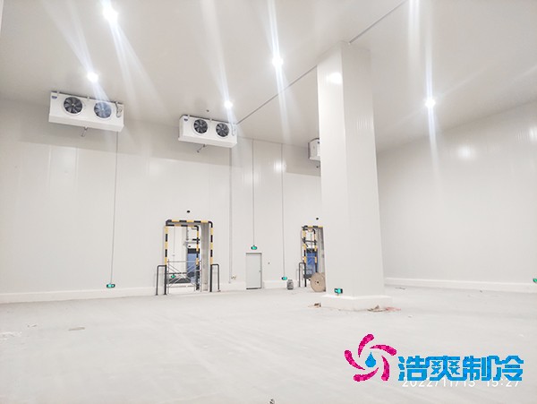 零下60度金槍魚急凍庫設計標準