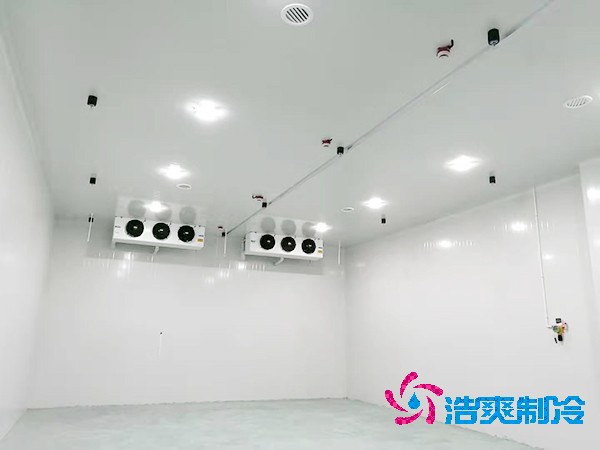 冷庫造價揭秘：300平方米到底要花多少錢？-浩爽制冷