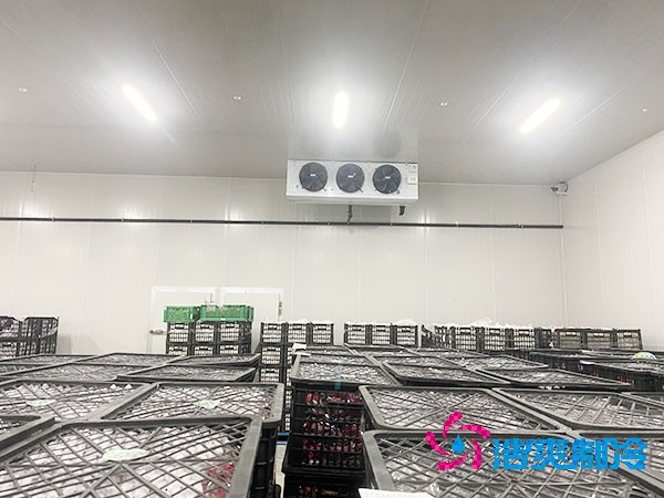 想知道保鮮冷庫設計安裝要花多少錢?-浩爽制冷