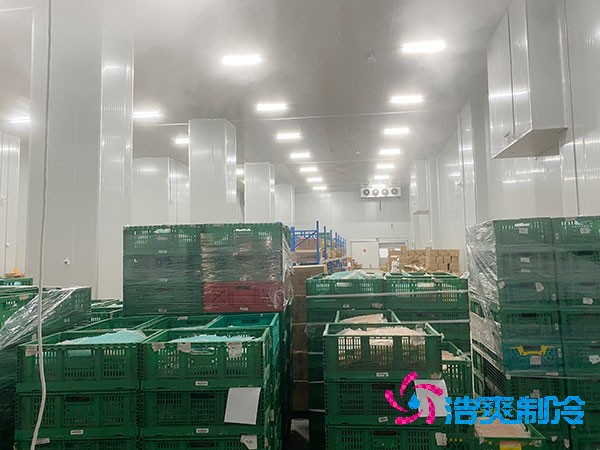 夏季蔬菜保鮮難？500噸冷庫建造價格揭秘！