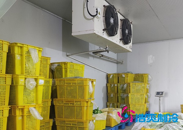 農副產品保鮮冷庫造價預算