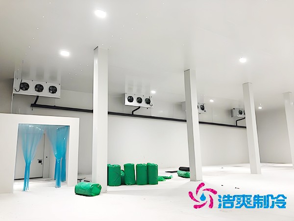 堅果冷庫建設預算