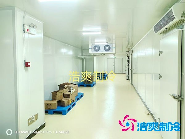 荔枝冷庫安裝價格多少錢一平方米？荔枝冷庫可以放多久-浩爽制冷