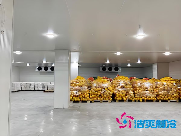建一個蔬菜冷庫造價需要多少錢？-浩爽制冷