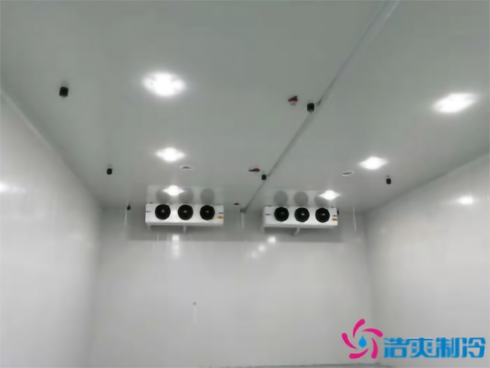 上海巴洛美巧克力食品冷庫建造設(shè)計(jì) 上海巴洛美巧克力食品冷庫建造設(shè)計(jì)